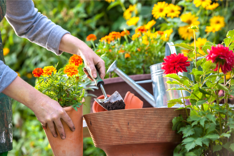 gardening