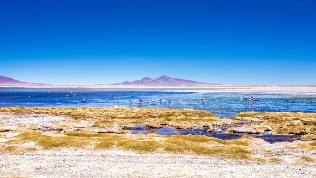 atacama desert